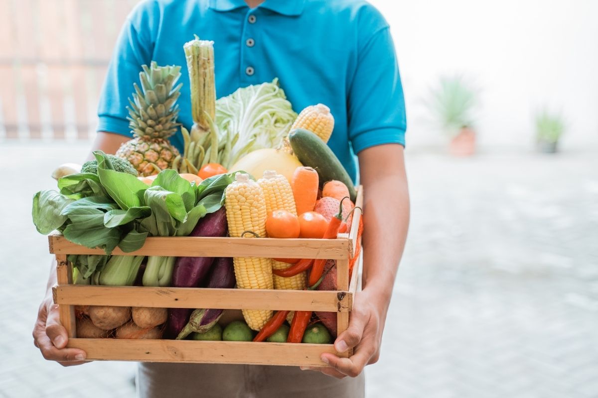 Hurtowa sprzedaż warzyw i owoców w Bydgoszczy — jak zaprojektować dostawy dla gastronomii, sklepów i cateringu
