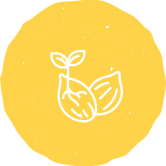 Seeds.png Seeds.png